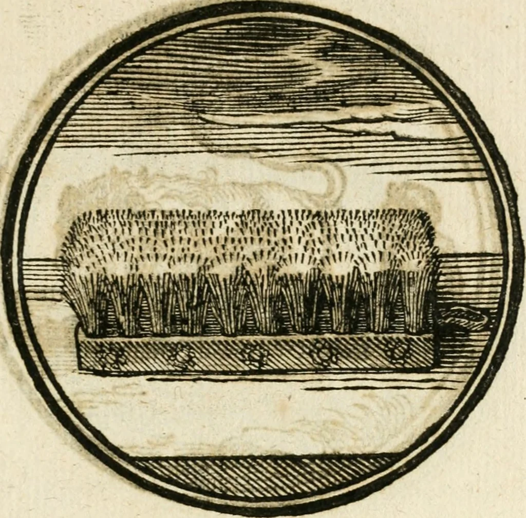 An illustration from Cornelii Giselberti Plempii Amsterodamum monogrammon, 1616, leaf 176