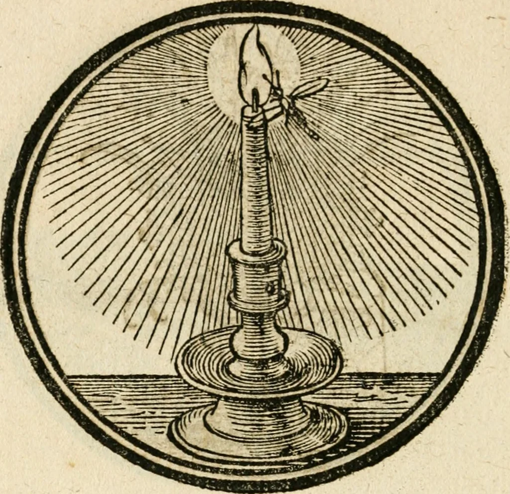 An illustration from Cornelii Giselberti Plempii Amsterodamum monogrammon, 1616, leaf 181