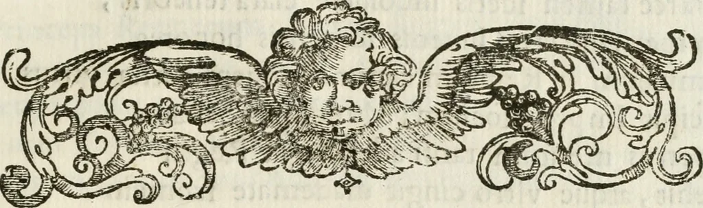 An illustration from Corona Austriaca in Ferdinandi IV Romanor[um] regis inauguratione carmen, 1653, leaf 12