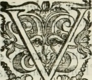 An illustration from Corona imperiale dell' architettura militare, 1618, leaf 215
