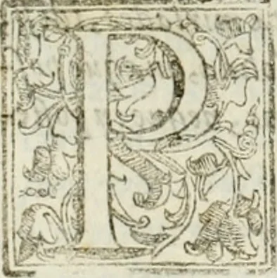 An illustration from Corona imperiale dell' architettura militare, 1618, leaf 303