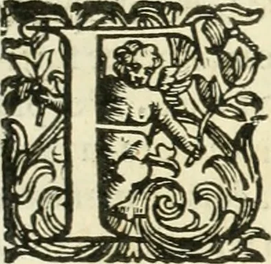 An illustration from Corona imperiale dell' architettura militare, 1618, leaf 322