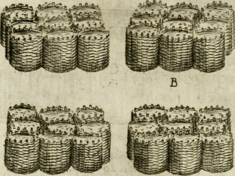 An illustration from Corona imperiale dell' architettura militare, 1618, leaf 357