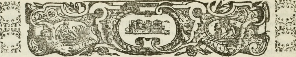 An illustration from Corona imperiale dell' architettura militare, 1618, leaf 61