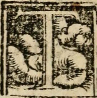 An illustration from Coronatio Caroli V caesaris avg. apvd Aqvisgranvm, 1550, leaf 145