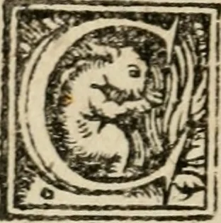 An illustration from Coronatio Caroli V caesaris avg. apvd Aqvisgranvm, 1550, leaf 5