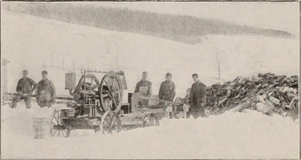 An illustration from Coronation souvenir, 1911, leaf 12