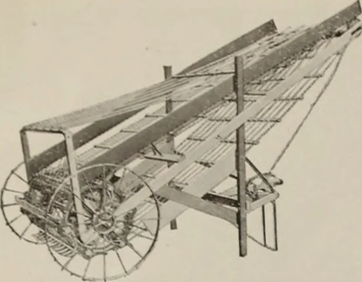 An illustration from Coronation souvenir, 1911, leaf 15
