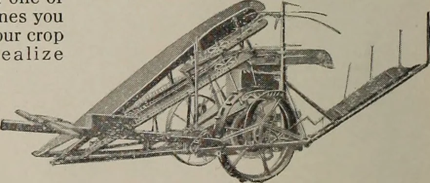 An illustration from Coronation souvenir, 1911, leaf 15