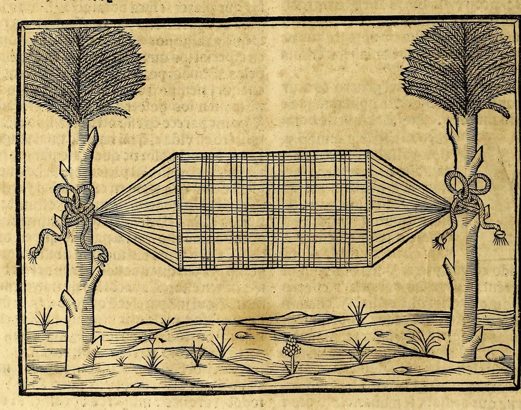 An illustration from Coronica delas Indias. La hystoria general de las Indias agora nueuamente impressa corregida y emendada. 1547 : y con la conquista del Peru, 1547, leaf 108