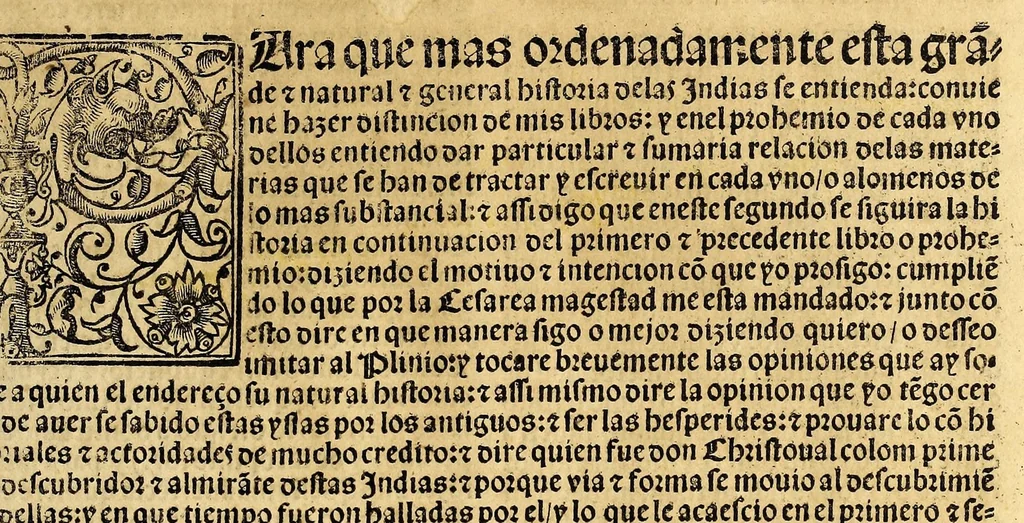 An illustration from Coronica delas Indias. La hystoria general de las Indias agora nueuamente impressa corregida y emendada. 1547 : y con la conquista del Peru, 1547, leaf 15