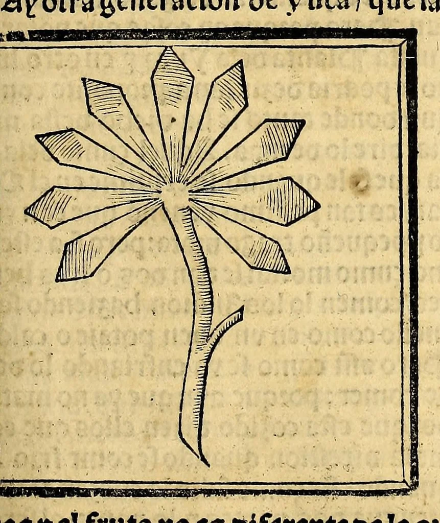 An illustration from Coronica delas Indias. La hystoria general de las Indias agora nueuamente impressa corregida y emendada. 1547 : y con la conquista del Peru, 1547, leaf 159
