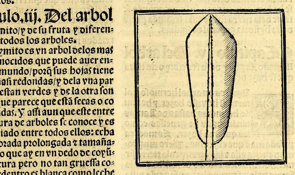 An illustration from Coronica delas Indias. La hystoria general de las Indias agora nueuamente impressa corregida y emendada. 1547 : y con la conquista del Peru, 1547, leaf 175
