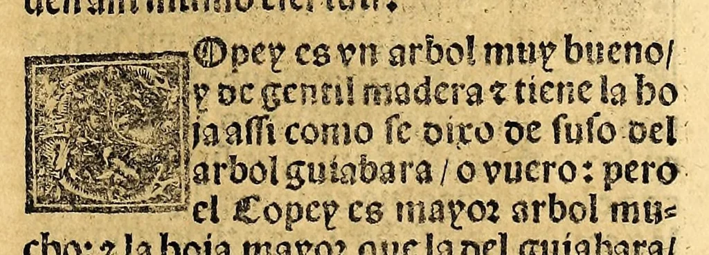 An illustration from Coronica delas Indias. La hystoria general de las Indias agora nueuamente impressa corregida y emendada. 1547 : y con la conquista del Peru, 1547, leaf 179