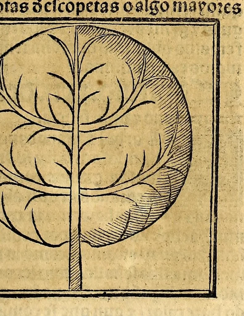 An illustration from Coronica delas Indias. La hystoria general de las Indias agora nueuamente impressa corregida y emendada. 1547 : y con la conquista del Peru, 1547, leaf 179