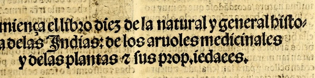 An illustration from Coronica delas Indias. La hystoria general de las Indias agora nueuamente impressa corregida y emendada. 1547 : y con la conquista del Peru, 1547, leaf 195