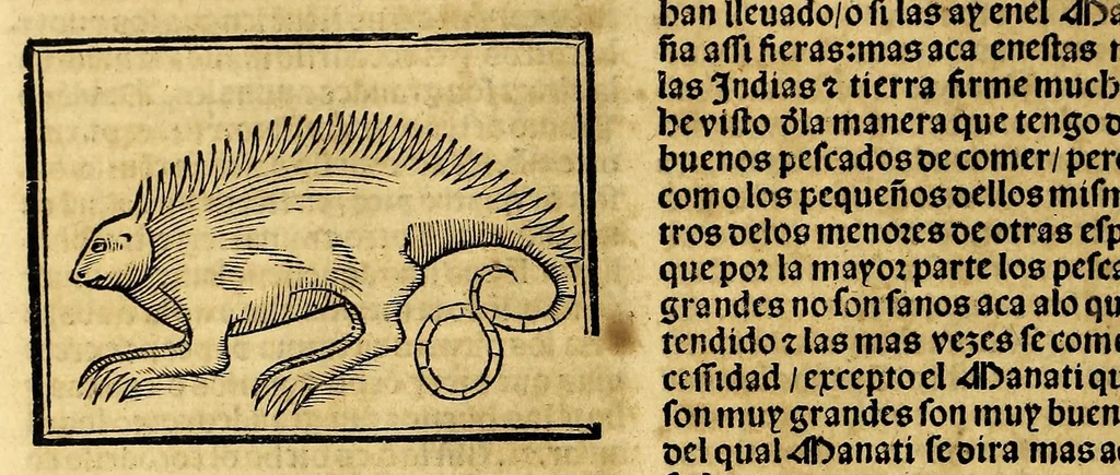 An illustration from Coronica delas Indias. La hystoria general de las Indias agora nueuamente impressa corregida y emendada. 1547 : y con la conquista del Peru, 1547, leaf 220