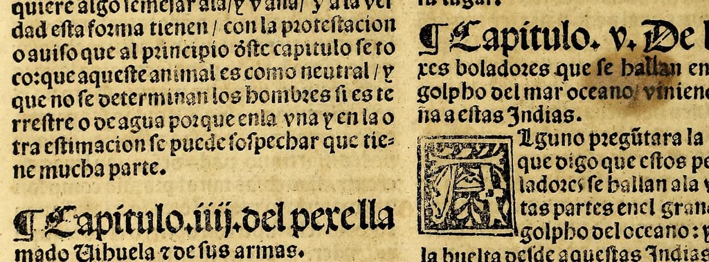 An illustration from Coronica delas Indias. La hystoria general de las Indias agora nueuamente impressa corregida y emendada. 1547 : y con la conquista del Peru, 1547, leaf 220