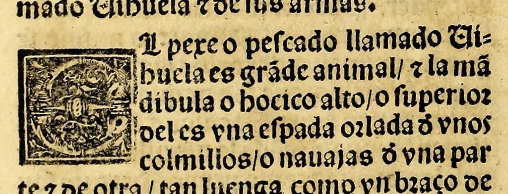 An illustration from Coronica delas Indias. La hystoria general de las Indias agora nueuamente impressa corregida y emendada. 1547 : y con la conquista del Peru, 1547, leaf 220