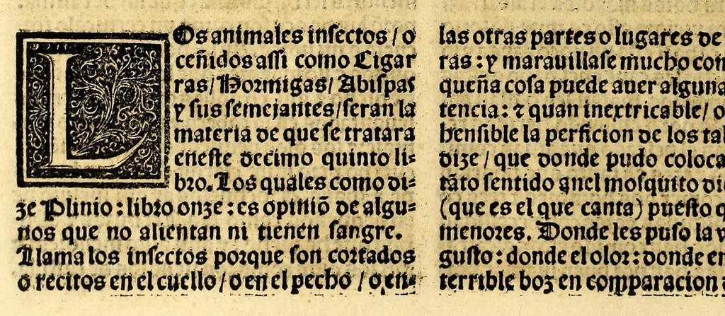 An illustration from Coronica delas Indias. La hystoria general de las Indias agora nueuamente impressa corregida y emendada. 1547 : y con la conquista del Peru, 1547, leaf 236