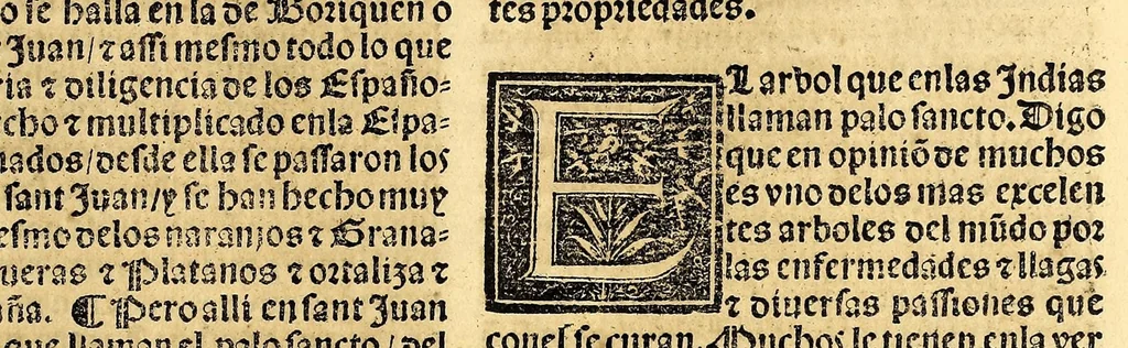 An illustration from Coronica delas Indias. La hystoria general de las Indias agora nueuamente impressa corregida y emendada. 1547 : y con la conquista del Peru, 1547, leaf 269