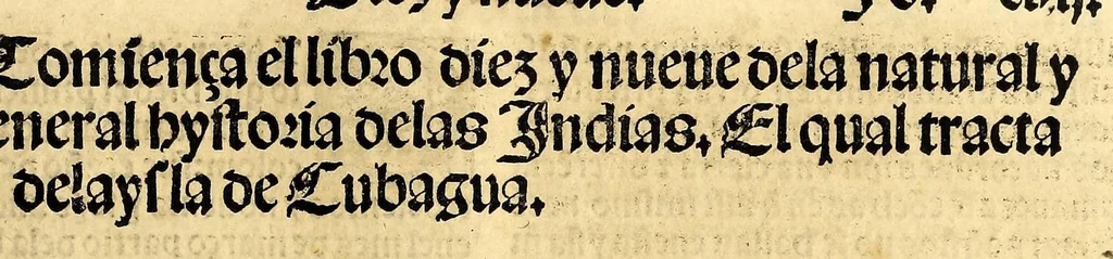 An illustration from Coronica delas Indias. La hystoria general de las Indias agora nueuamente impressa corregida y emendada. 1547 : y con la conquista del Peru, 1547, leaf 319