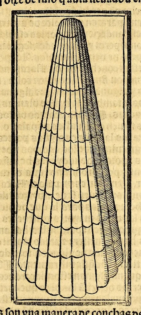 An illustration from Coronica delas Indias. La hystoria general de las Indias agora nueuamente impressa corregida y emendada. 1547 : y con la conquista del Peru, 1547, leaf 331
