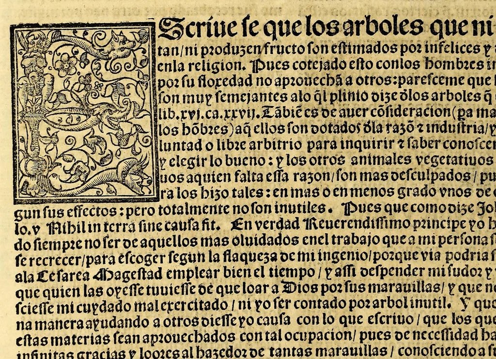 An illustration from Coronica delas Indias. La hystoria general de las Indias agora nueuamente impressa corregida y emendada. 1547 : y con la conquista del Peru, 1547, leaf 396