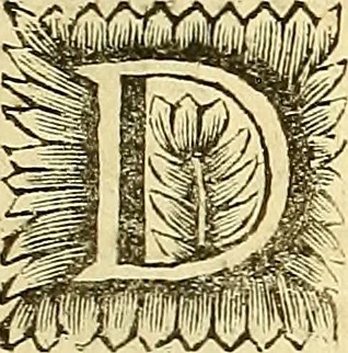 An illustration from Corporis humani anatomia : in qua omnia tam veterum, quam recentiorum anatomicarum inventa methodo novâ & intellectu facillimâ describuntur, ac tabulis aeneis repraesentantur, 1693, leaf 10