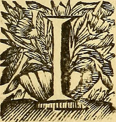 An illustration from Corporis humani anatomia : in qua omnia tam veterum, quam recentiorum anatomicarum inventa methodo novâ & intellectu facillimâ describuntur, ac tabulis aeneis repraesentantur, 1693, leaf 158