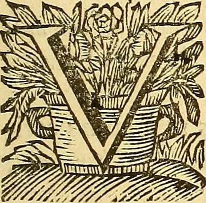 An illustration from Corporis humani anatomia : in qua omnia tam veterum, quam recentiorum anatomicarum inventa methodo novâ & intellectu facillimâ describuntur, ac tabulis aeneis repraesentantur, 1693, leaf 16