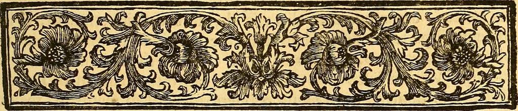 An illustration from Corporis humani anatomia : in qua omnia tam veterum, quam recentiorum anatomicarum inventa methodo novâ & intellectu facillimâ describuntur, ac tabulis aeneis repraesentantur, 1693, leaf 204