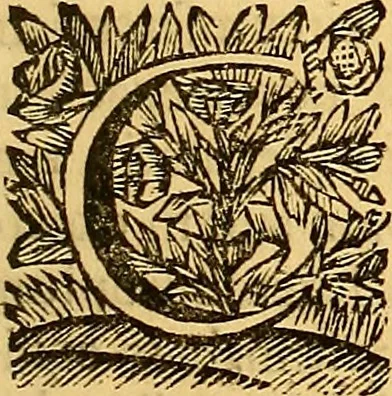 An illustration from Corporis humani anatomia : in qua omnia tam veterum, quam recentiorum anatomicarum inventa methodo novâ & intellectu facillimâ describuntur, ac tabulis aeneis repraesentantur, 1693, leaf 204