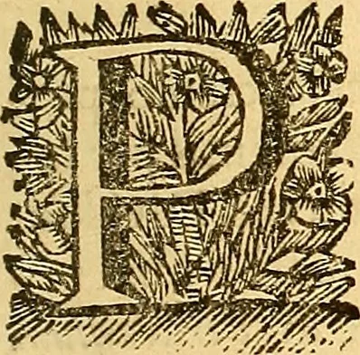 An illustration from Corporis humani anatomia : in qua omnia tam veterum, quam recentiorum anatomicarum inventa methodo novâ & intellectu facillimâ describuntur, ac tabulis aeneis repraesentantur, 1693, leaf 212