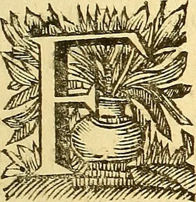 An illustration from Corporis humani anatomia : in qua omnia tam veterum, quam recentiorum anatomicarum inventa methodo novâ & intellectu facillimâ describuntur, ac tabulis aeneis repraesentantur, 1693, leaf 22