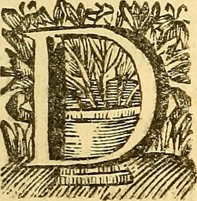 An illustration from Corporis humani anatomia : in qua omnia tam veterum, quam recentiorum anatomicarum inventa methodo novâ & intellectu facillimâ describuntur, ac tabulis aeneis repraesentantur, 1693, leaf 282
