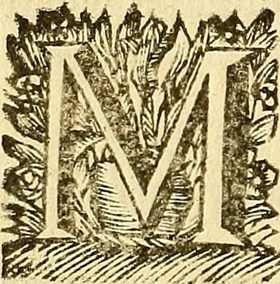 An illustration from Corporis humani anatomia : in qua omnia tam veterum, quam recentiorum anatomicarum inventa methodo novâ & intellectu facillimâ describuntur, ac tabulis aeneis repraesentantur, 1693, leaf 315