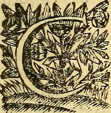 An illustration from Corporis humani anatomia : in qua omnia tam veterum, quam recentiorum anatomicarum inventa methodo novâ & intellectu facillimâ describuntur, ac tabulis aeneis repraesentantur, 1693, leaf 400