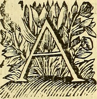 An illustration from Corporis humani anatomia : in qua omnia tam veterum, quam recentiorum anatomicarum inventa methodo novâ & intellectu facillimâ describuntur, ac tabulis aeneis repraesentantur, 1693, leaf 42
