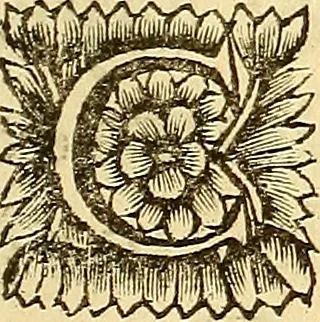 An illustration from Corporis humani anatomia : in qua omnia tam veterum, quam recentiorum anatomicarum inventa methodo novâ & intellectu facillimâ describuntur, ac tabulis aeneis repraesentantur, 1693, leaf 6