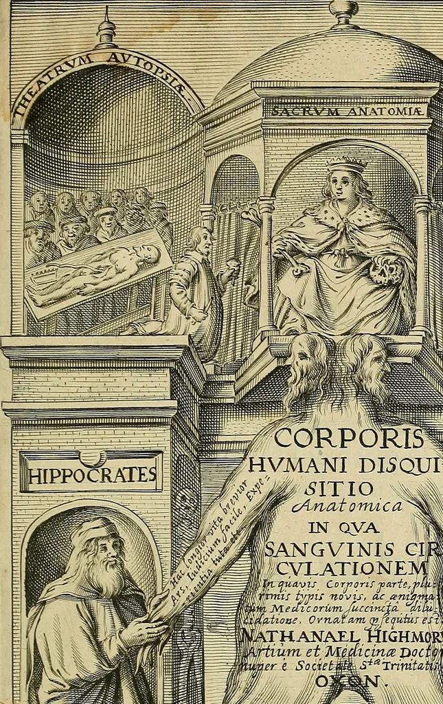 An illustration from Corporis humani disquisitio anatomica : in qua sanguinis circulationem in quavis corporis particula plurimis typis novis, 1651, leaf 4