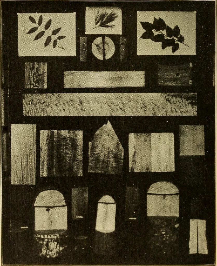 An illustration from Correlated courses in woodwork and mechanical drawing, 1912, leaf 47