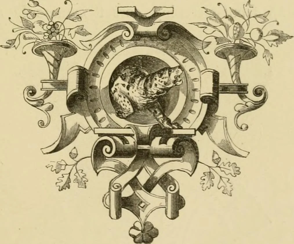 An illustration from The corset and the crinoline : a book of modes and costumes from remote periods to the present time, 1868, leaf 206