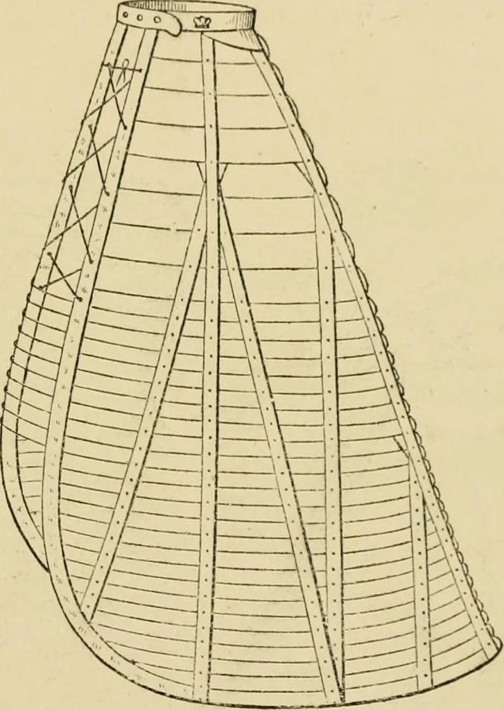 An illustration from The corset and the crinoline : a book of modes and costumes from remote periods to the present time, 1868, leaf 228