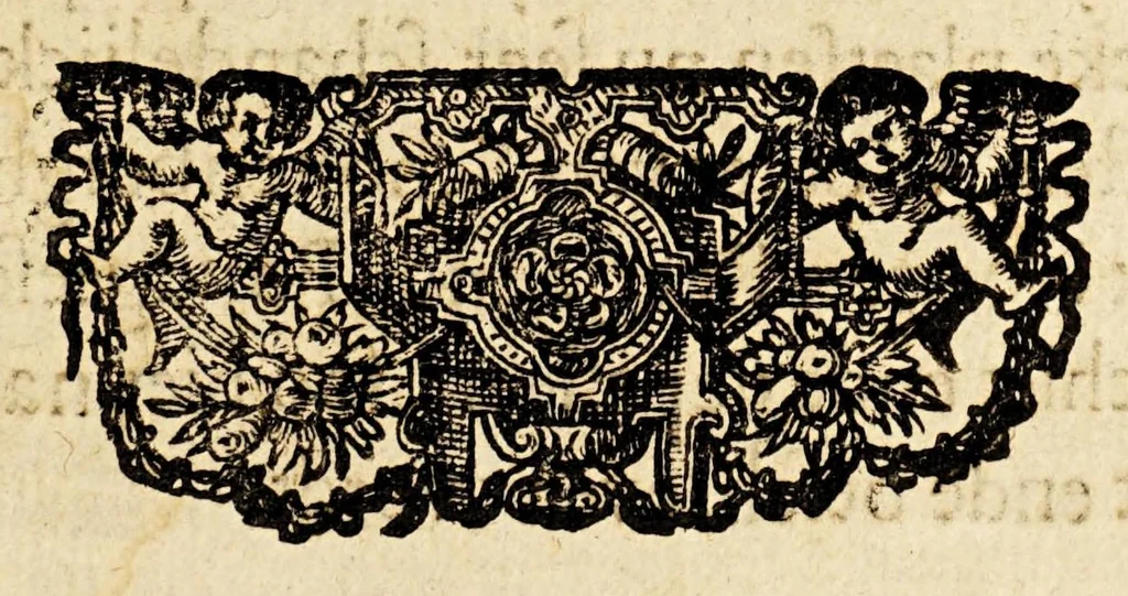 An illustration from Cort, bondigh ende waerachtich verhael van't schandelijck over-geven ende verlaten vande voorname conquesten van Brasil, : onder de regeeringe vande Heeren Wouter van Schonenburgh, president, Hendrick Haecx, hoogen raet, ende Sigismondus van Schoppe, luytenant Generael over de militie, 1654, 1655, leaf 9