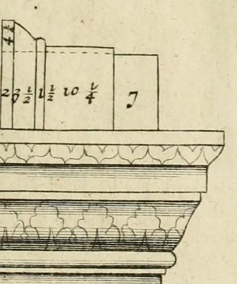 An illustration from Cort onderwys van de vyf colomen, leaf 69
