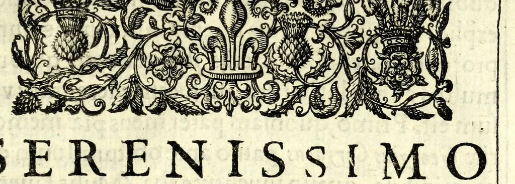 An illustration from Coryats crudities : hastily gobled up in five moneths travells in France, Savoy, Italy, Rhetia commonly called the Grisons country, Helvetia aliàs Switzerland, some parts of high Germany, and the Netherlands : newly digested in the hungry aire of Odcombe in the county of Somerset, & now dispersed to the nourishment of the travelling members of this kingdome ... : now distilled into English spirit through the Odcombian Limbecke; this precedeth the crudities; another also composed by the author of the former, in praise of travell of Germanie in particular, sublimed and brought over the helme in the stillitorie of the said travelling Thomas, this about the center or navell of the crudities : then in the posterne of them looke, and thou shalt find the posthume poems of the authors father .., 1611, leaf 901