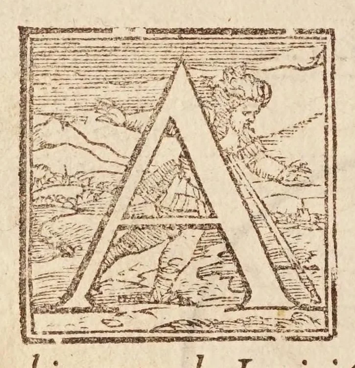 An illustration from Cosimo Bartoli ... Del modo di misvrare le distantie, le superficie, i corpi, le piante, le prouincie, le prospettiue, & tutte le altre cose terrene, che possono occorrere a gli huomini, secondo le uere regole d'Euclide, & de gli altri piu lodati scrittori, 1564, leaf 156
