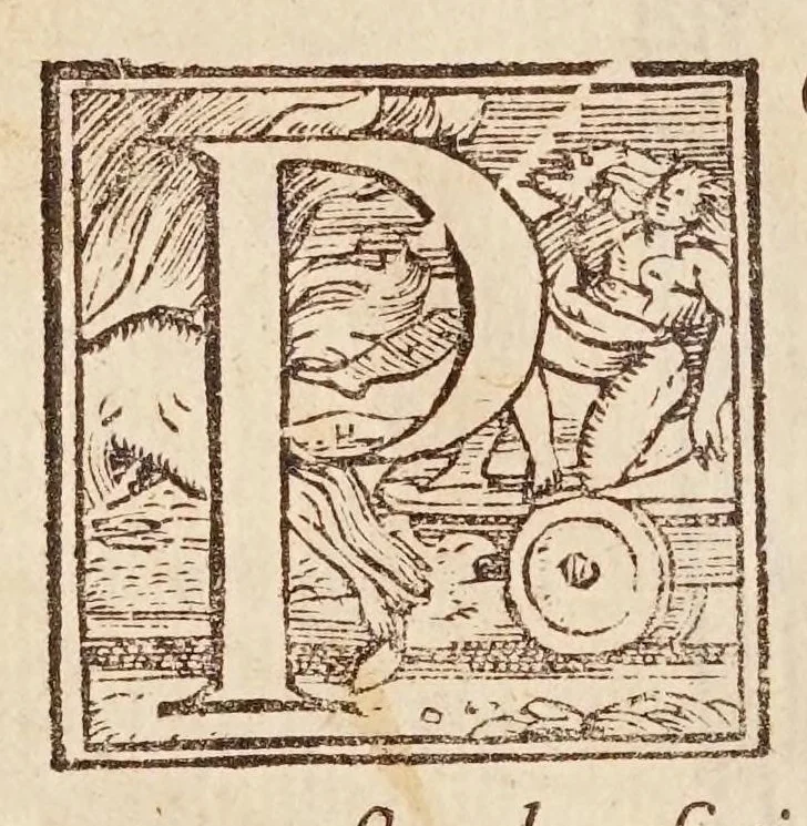 An illustration from Cosimo Bartoli ... Del modo di misvrare le distantie, le superficie, i corpi, le piante, le prouincie, le prospettiue, & tutte le altre cose terrene, che possono occorrere a gli huomini, secondo le uere regole d'Euclide, & de gli altri piu lodati scrittori, 1564, leaf 228