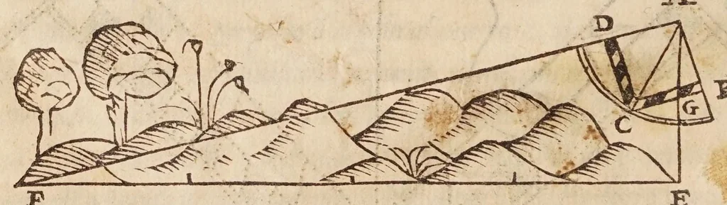 An illustration from Cosimo Bartoli ... Del modo di misvrare le distantie, le superficie, i corpi, le piante, le prouincie, le prospettiue, & tutte le altre cose terrene, che possono occorrere a gli huomini, secondo le uere regole d'Euclide, & de gli altri piu lodati scrittori, 1564, leaf 28